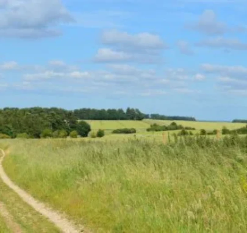 blog - Briars Dental