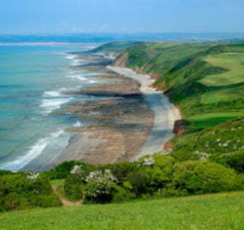 blog - Briars Dental