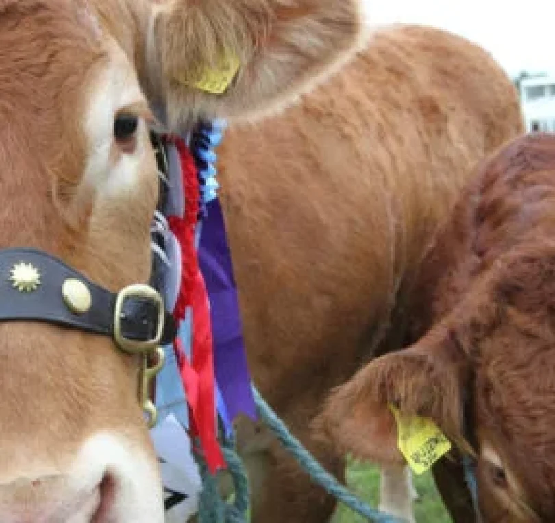 blog - Briars Dental