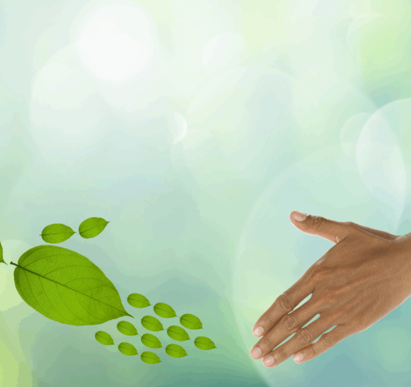 sustainable dental care